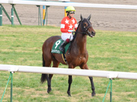 シンザン記念（ＧIII）　本馬場入場