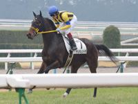 未勝利戦　キャンター