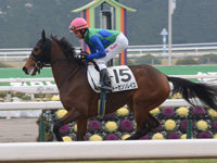 新馬戦　キャンター