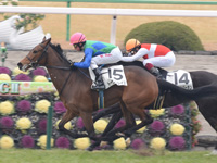 新馬戦　ゴール前