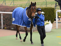 新馬戦　口取り