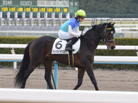 新馬戦　キャンター