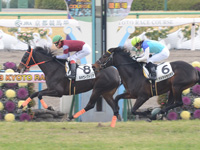 新馬戦　ゴール前（外2着）