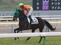 新馬戦　本馬場入場