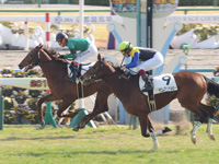 新馬戦　ゴール前（外2着）