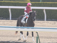 未勝利戦　本場場入場