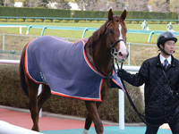 新馬戦　口取り