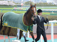 未勝利戦（牝）　口取り