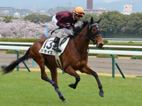 未勝利戦（牝）　キャンター