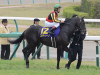 皐月賞（ＧI）　本馬場入場
