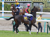 皐月賞（ＧI）　本馬場入場