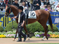 500万下　パドック