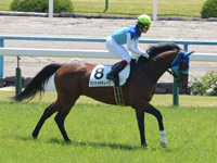 新馬戦　キャンター