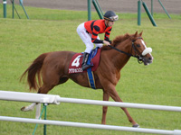 京都新聞杯（ＧII）　キャンター