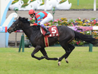 京都新聞杯（ＧII）　ゴール前