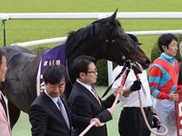京都新聞杯（ＧII）　口取り