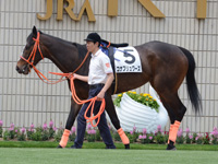 500万下　パドック