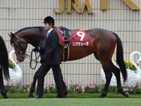 京都新聞杯（ＧII）　パドック