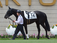 500万下　パドック