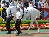 未勝利戦（牝）　パドック