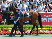 タケホープカップ（500万）　パドック