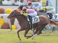 京都1R　未勝利戦　セトノフラッパー