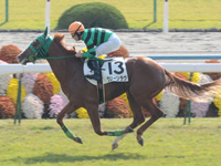 京都3R　未勝利戦　グリーンラヴ