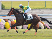京都5R　新馬戦　サトノプレステージ
