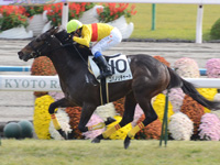京都6R 新馬戦　コパノリチャード