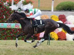京都9R　京都2歳ステークス（ＯＰ）