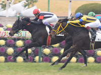 京都5R　未勝利戦　カレンケカリーナ