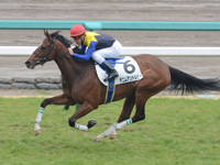 阪神3R　未勝利　デニムアンドルビー