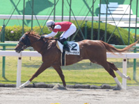 京都2R　未勝利　ファーザモア