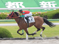 京都2R　未勝利　マイネルハルカゼ