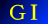 ＧＩ