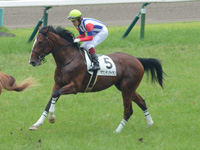 新馬戦　キャンター
