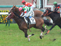 新馬戦　ゴール前