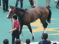 新馬戦　口取り
