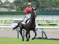 新馬戦　本馬場入場
