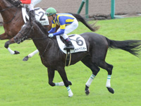 新馬戦　キャンター