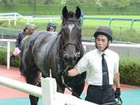 新馬戦　口取り