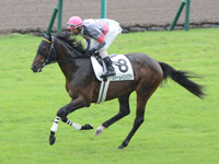 新馬戦　キャンター