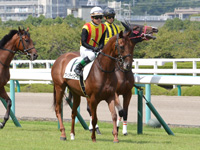 新馬戦　本馬場入場