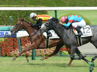 新馬戦　ゴール前
