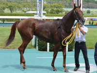 新馬戦　口取り