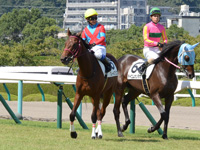 新馬戦　本馬場入場