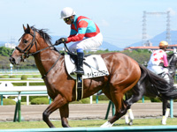 未勝利戦　キャンター