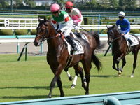 新馬戦　キャンター