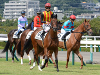 新馬戦　本馬場入場