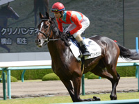 未勝利戦　キャンター